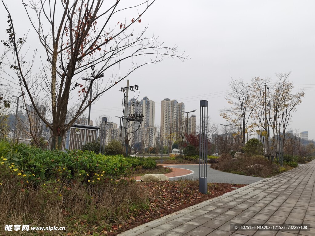 城市中的静谧步道景观