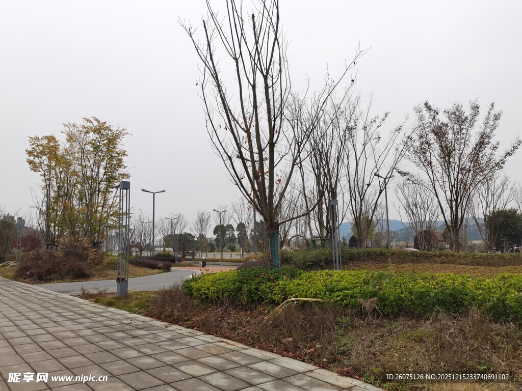 城郊冬日步道风景
