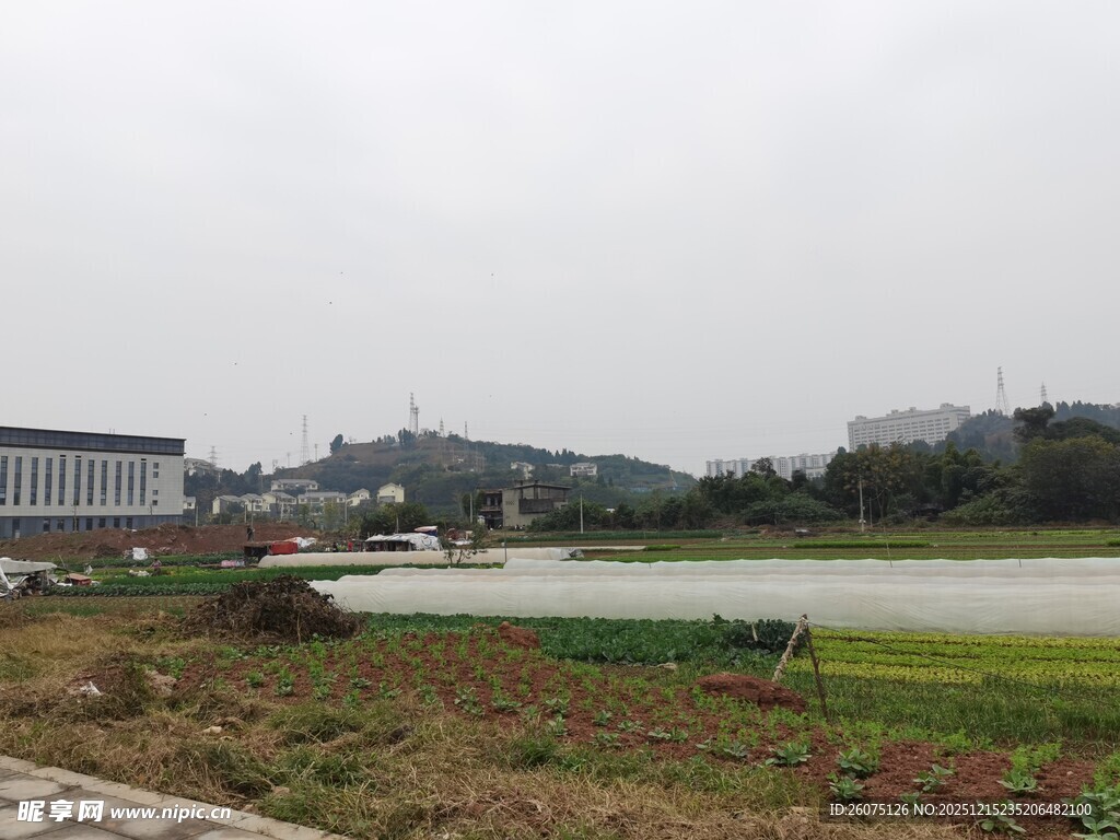 户外开阔风景远处建筑与湖