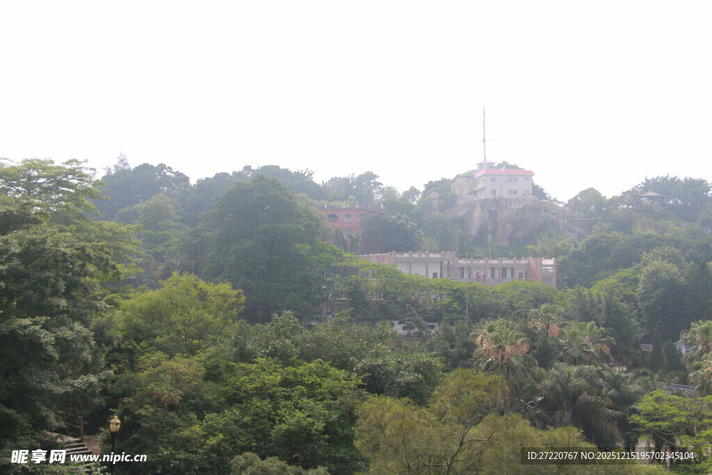 鼓浪屿绿树环绕中的建筑景观