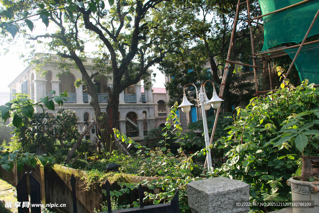 庭院绿植景观 厦门鼓浪屿