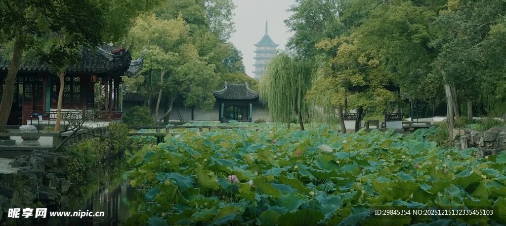 荷塘边的静谧中式园林景致