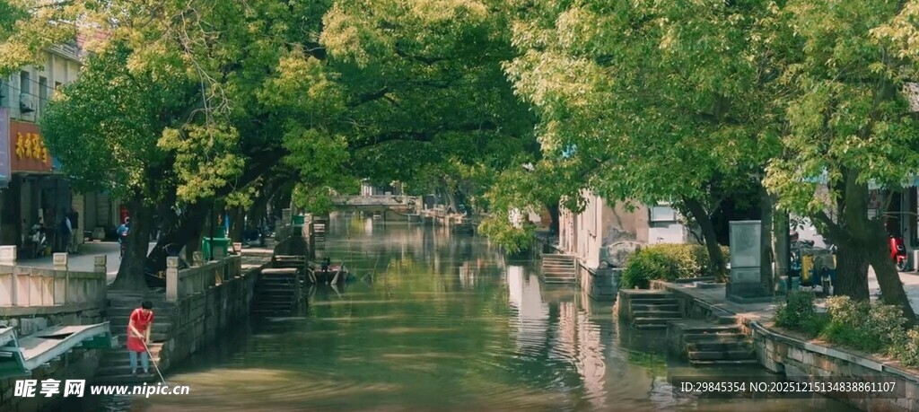 河畔绿树成荫的静谧景致