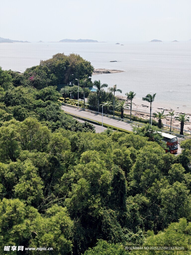 俯瞰绿树环绕的海滨风光