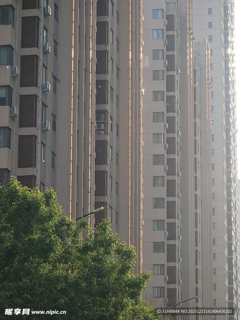 城市高楼与绿植景观