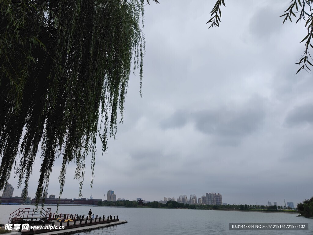 湖畔垂柳静美湖景风光