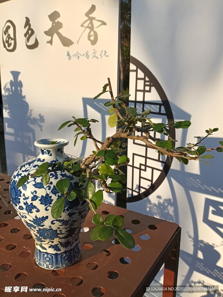 典雅瓷瓶与绿植景致