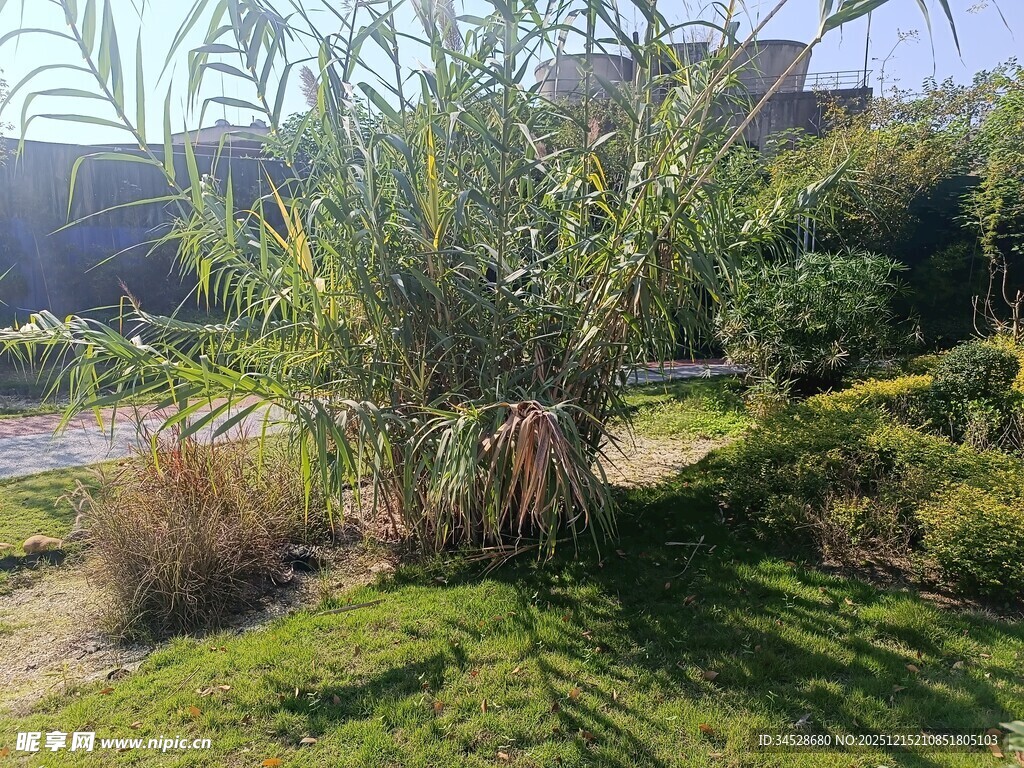 户外绿意盎然的自然景致