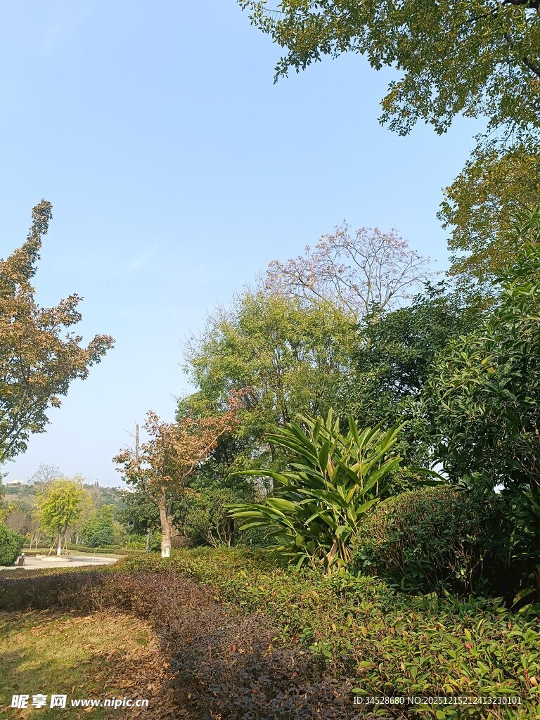 秋日林间小道风景