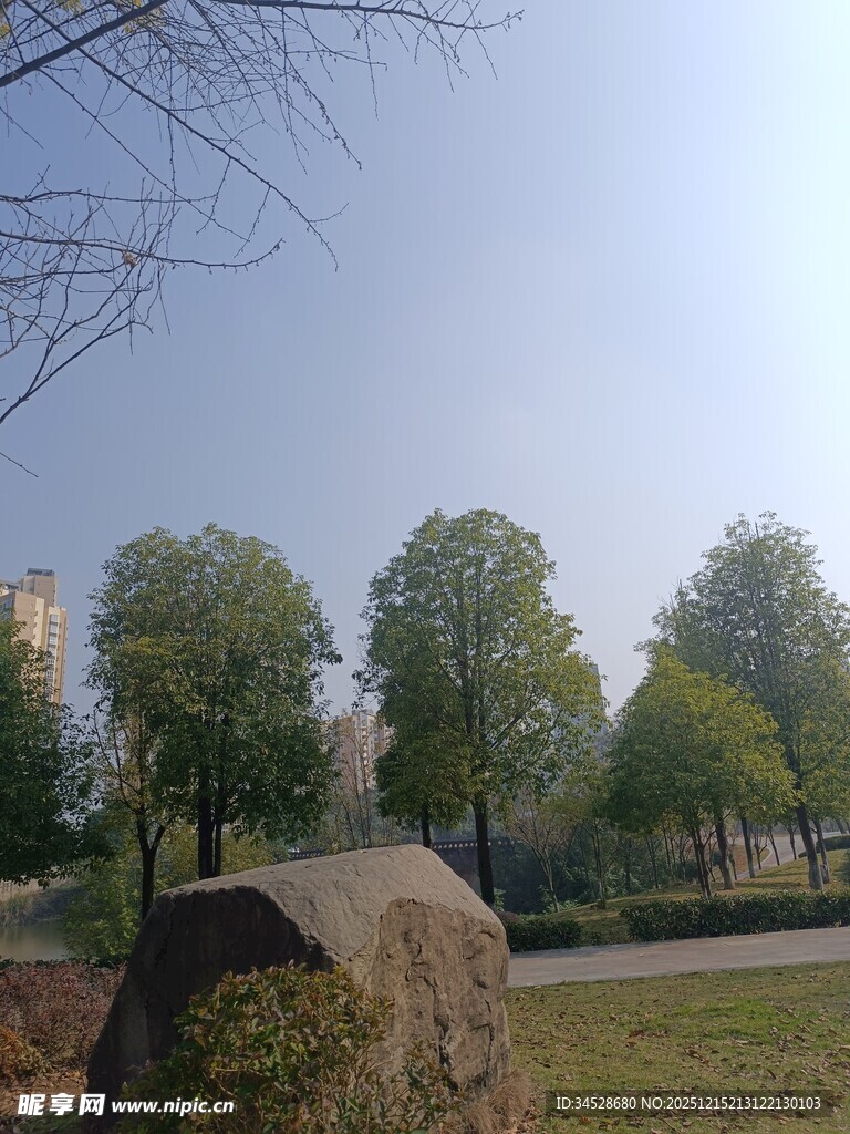 公园中的自然景致