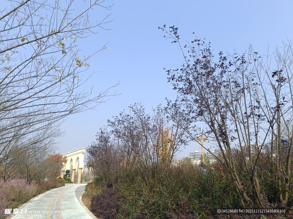 郊外小径旁的树木与建筑