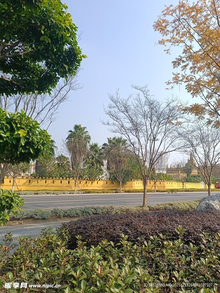 城市公园中的多彩植物景观