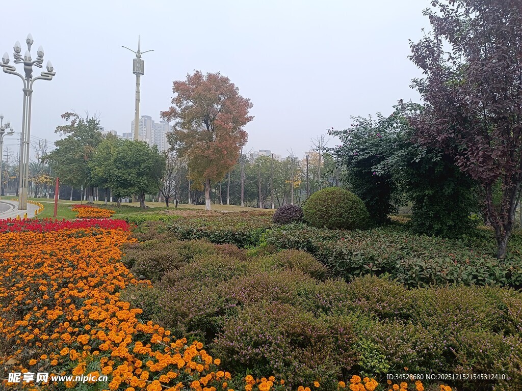 秋日多彩花卉园林景观