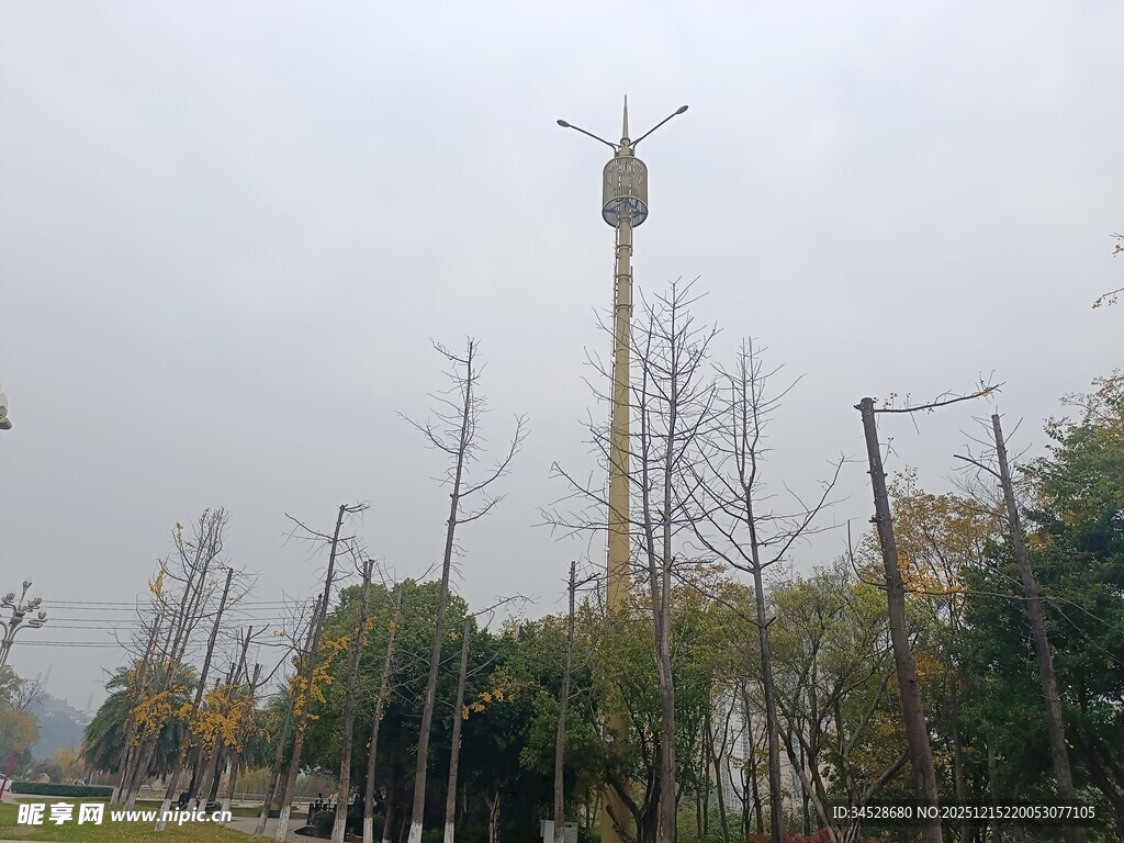 城市中的高耸通信塔