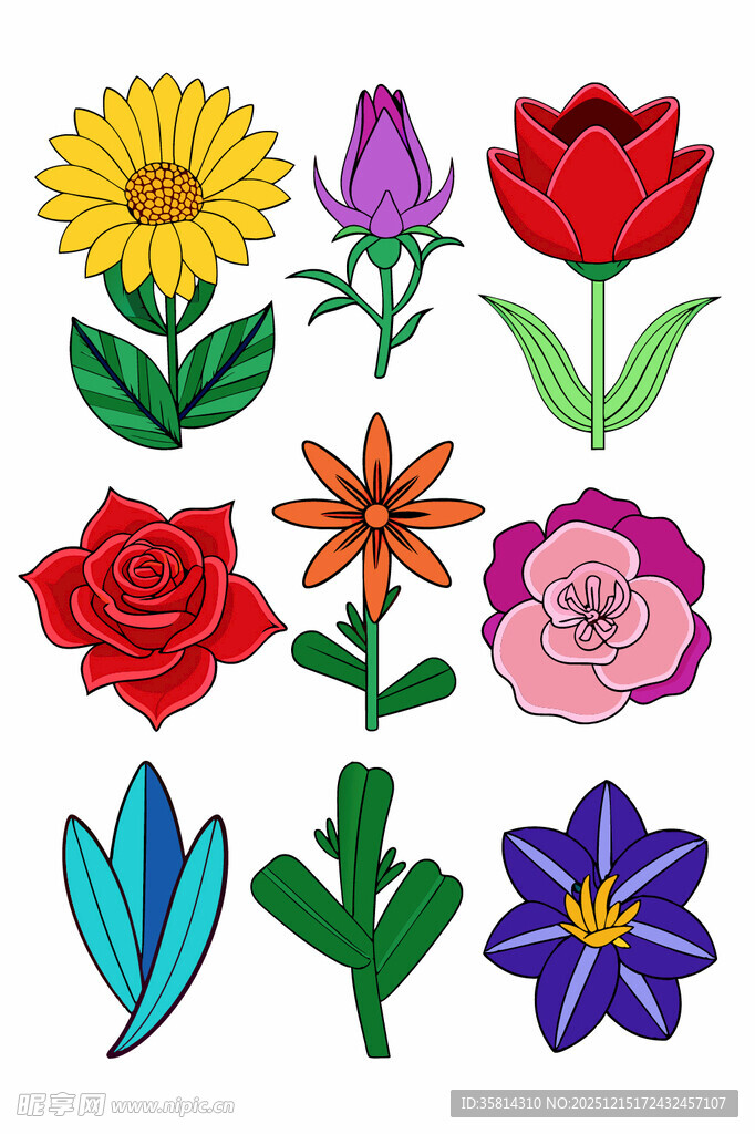 多彩花卉图案集合