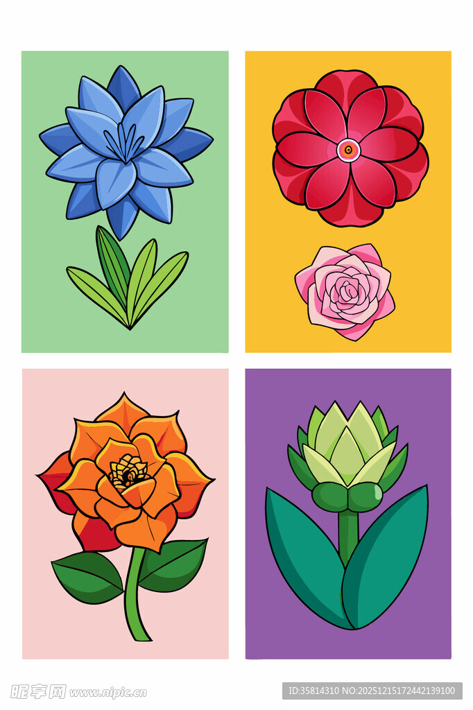 多彩花卉插画图案