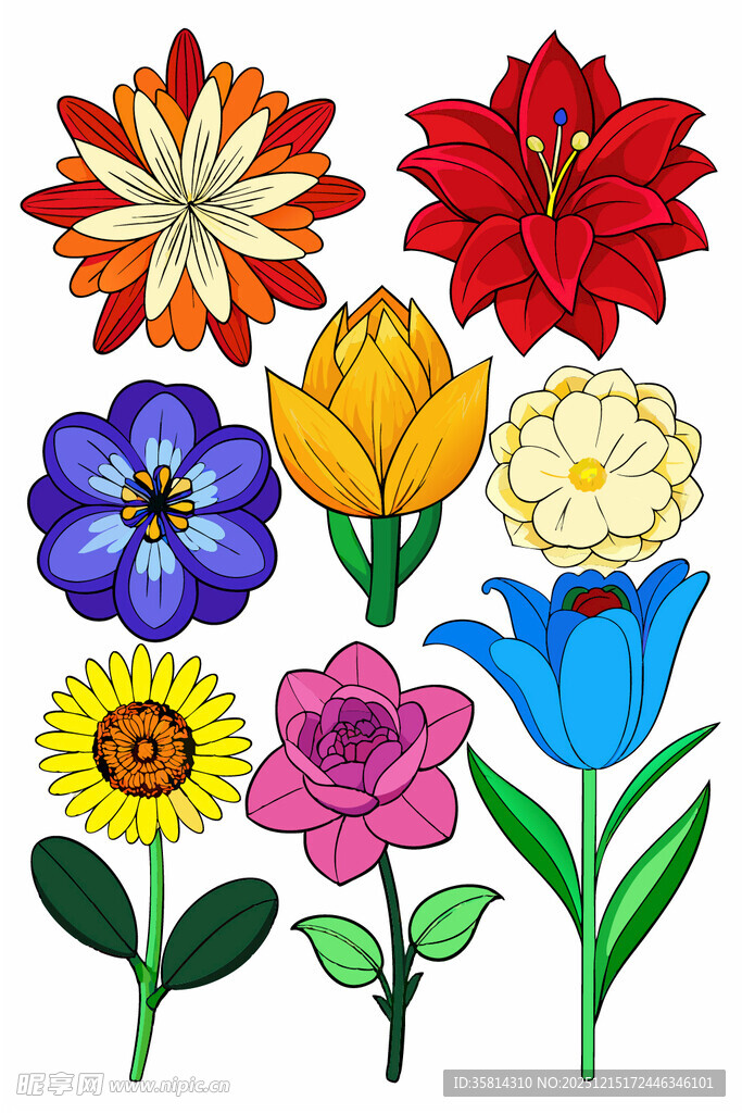 多彩手绘花卉集合