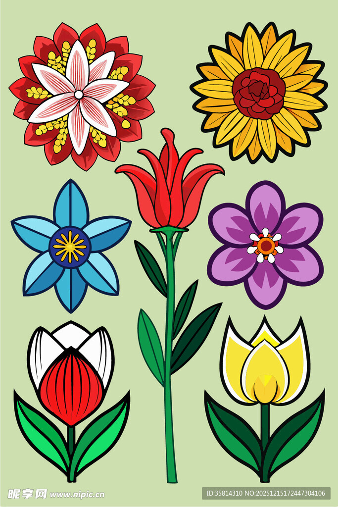 多彩手绘花卉图案集合