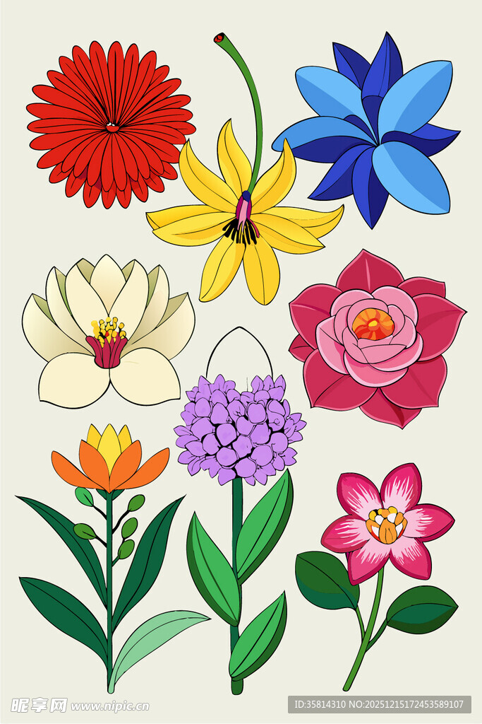多彩手绘花卉集合