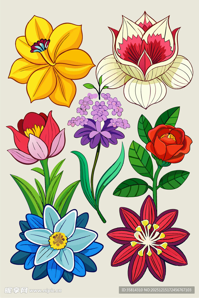 多彩手绘花卉图案