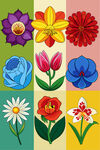 多彩花卉图案集合
