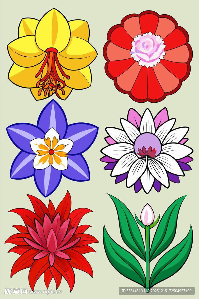 多彩花卉图案集合