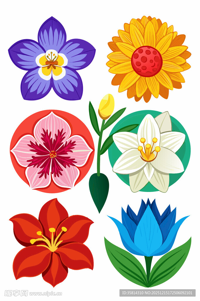 多彩手绘花卉图案集合