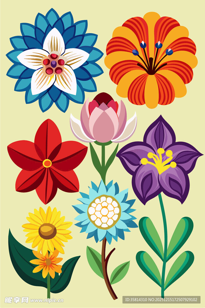 多彩花卉插画