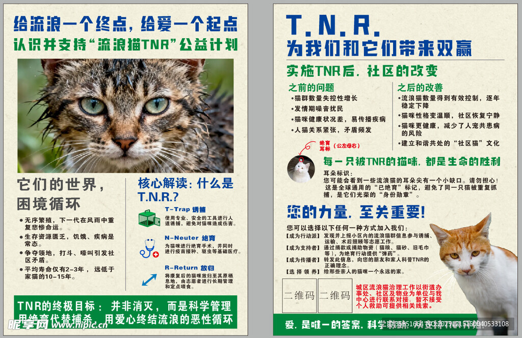 流浪猫宣传单