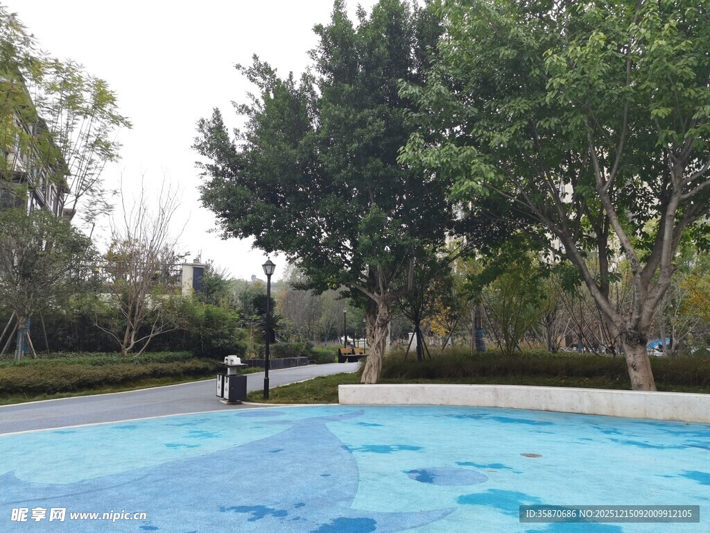 户外静谧泳池与绿树景观