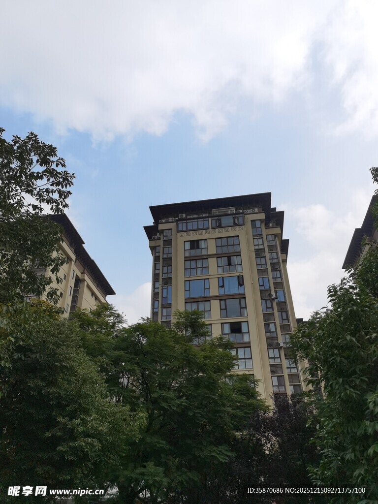 绿树环绕中的多层建筑