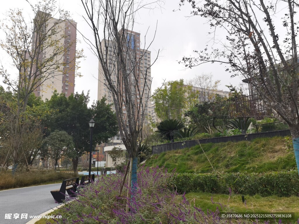 城市路边的绿植与高楼景观