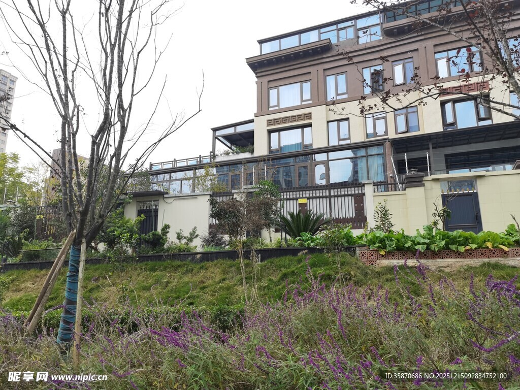 城郊别墅旁的荒野景致