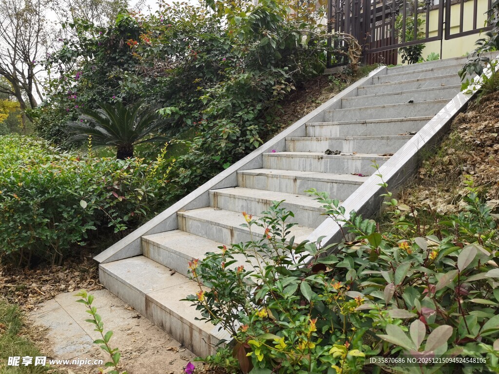 山间石阶绿植环绕景致美