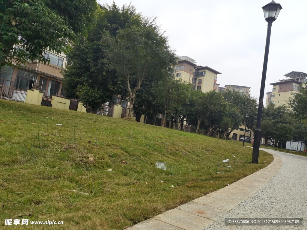 城市路边绿意盎然的草地