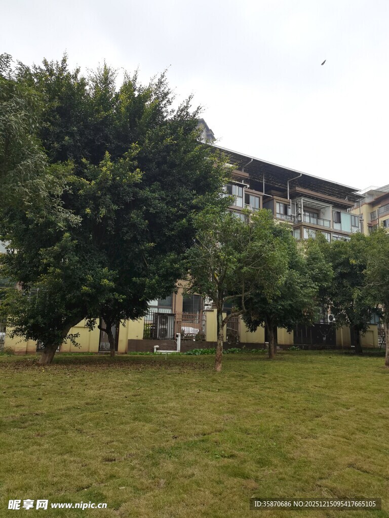 住宅区的绿树草地景观