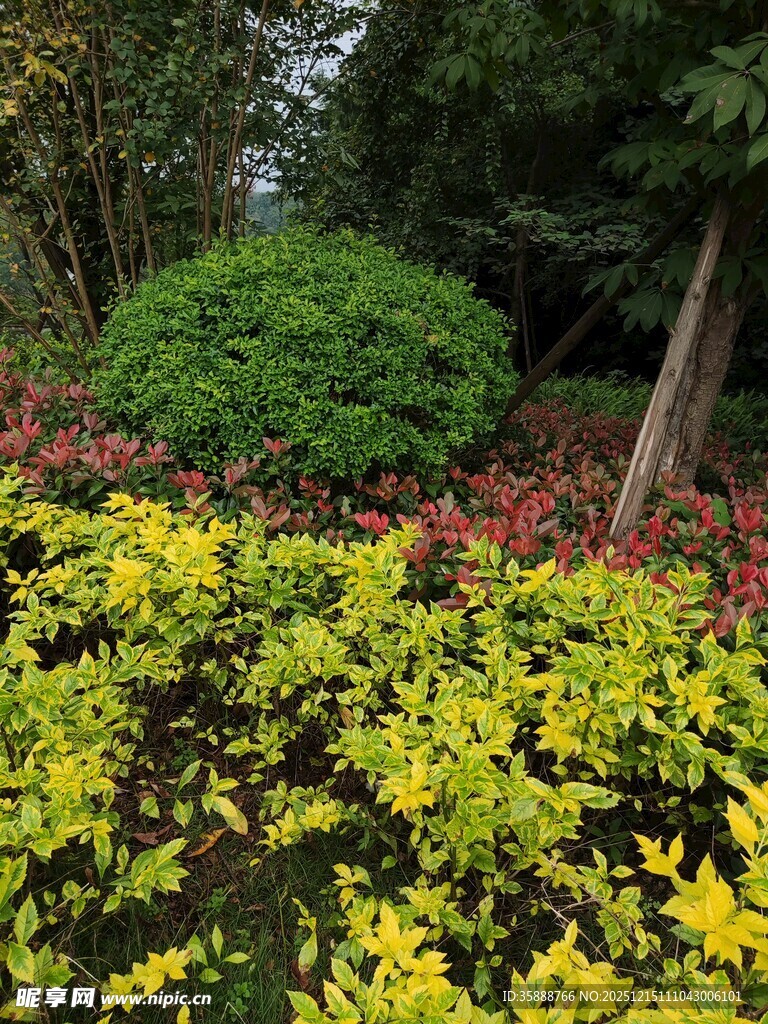 多彩花卉与绿植景观