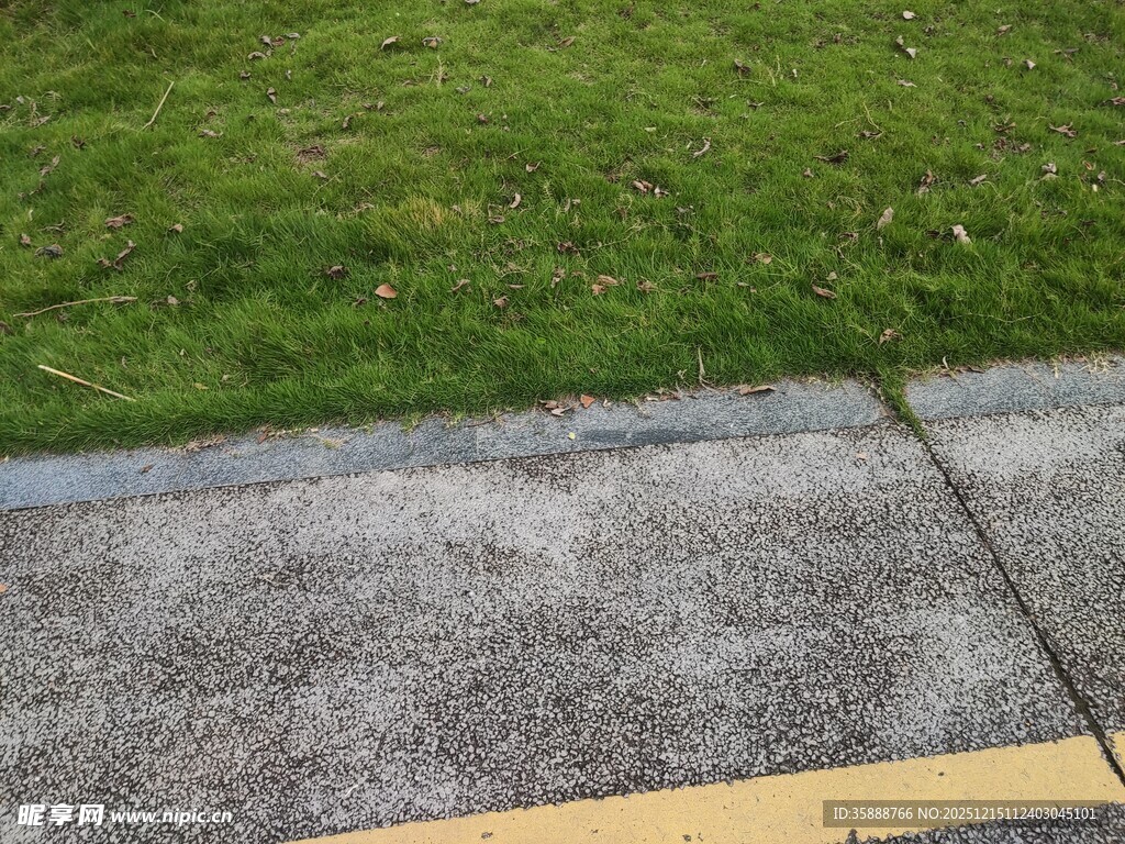 路边草地旁的水泥路面