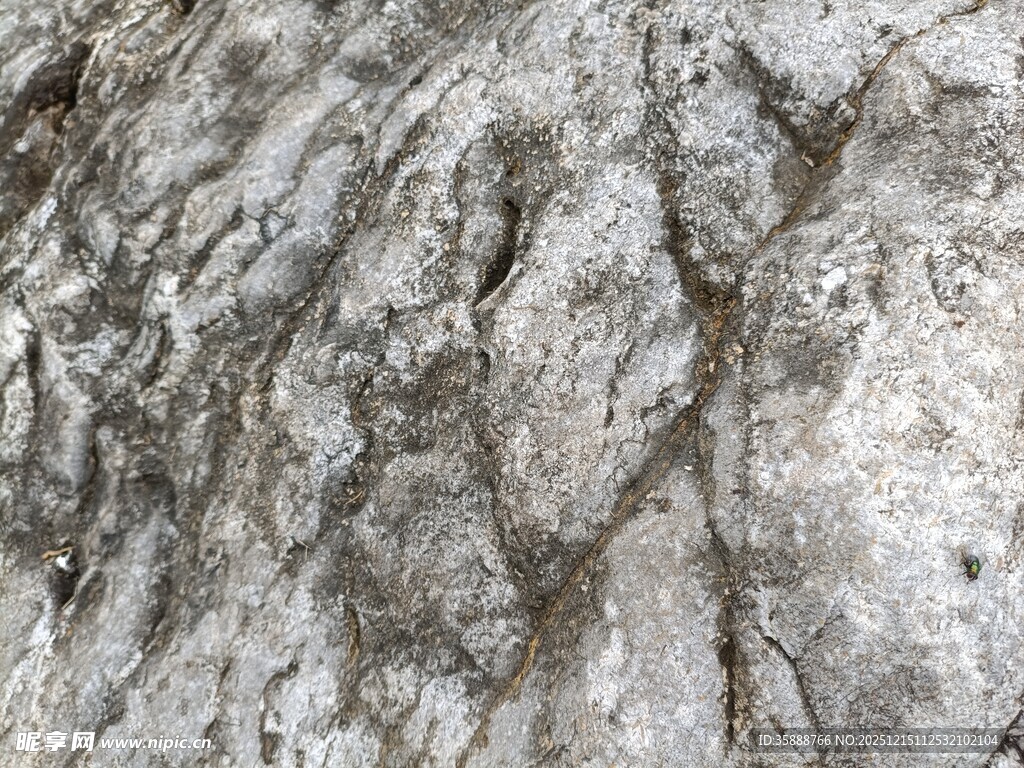 粗糙岩石纹理特写
