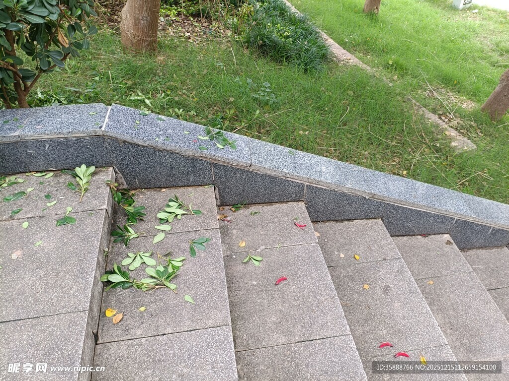 石阶上散落的落叶与杂物