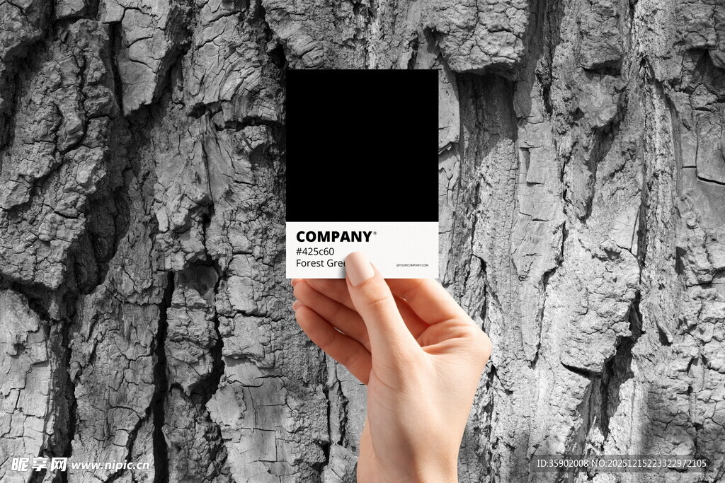 手持黑白卡片展示纹理