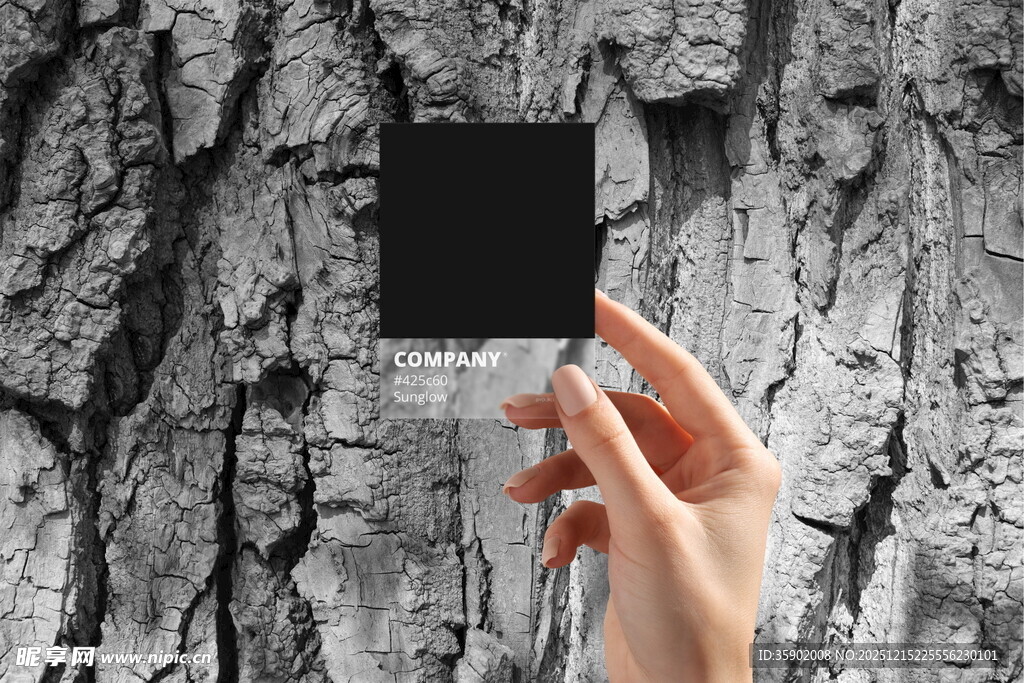 手举黑卡对比树皮纹理