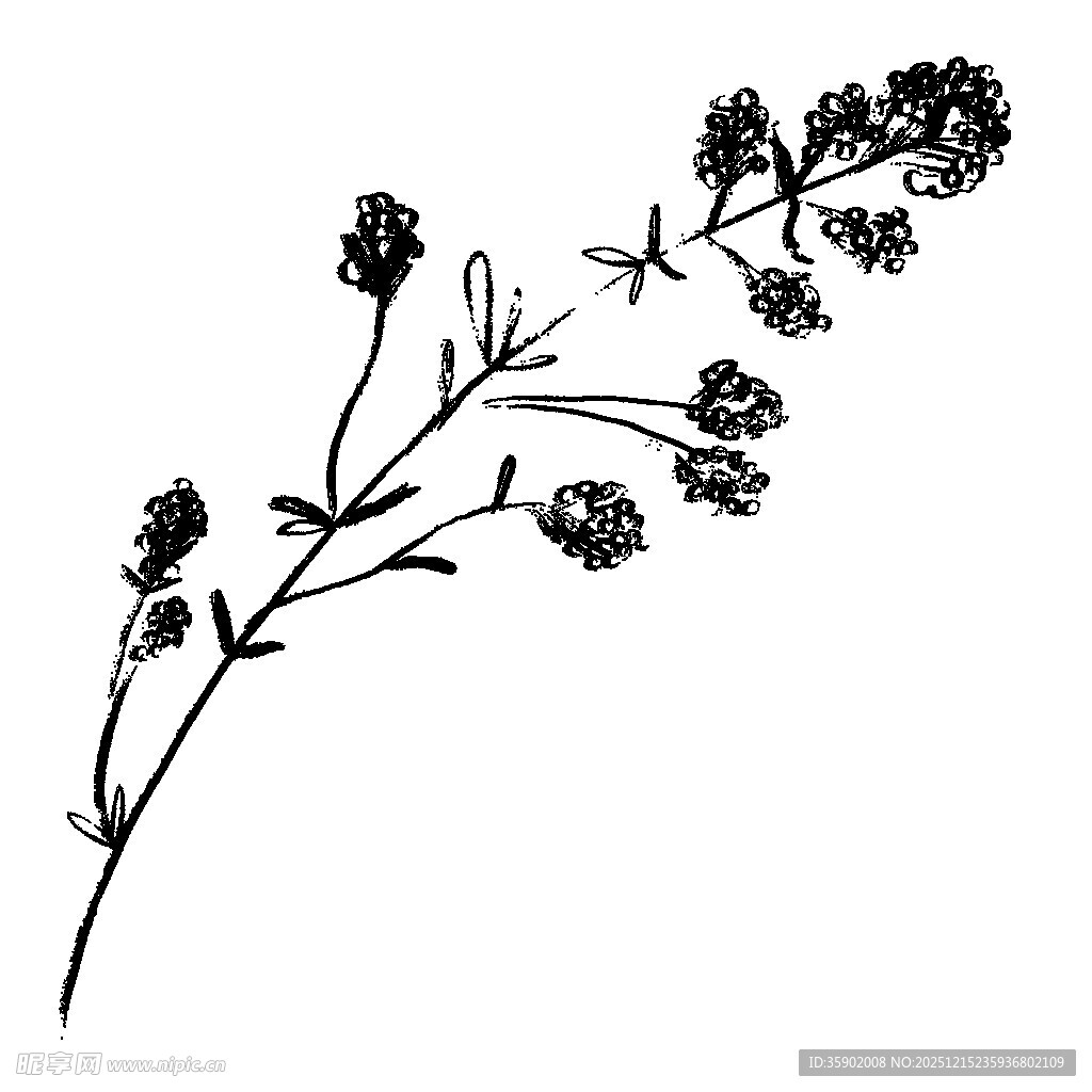 手绘黑色花卉枝条图案