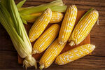 新鲜玉米摆放在木桌上