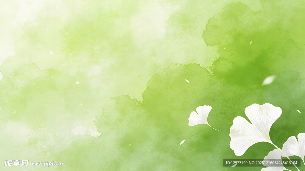 清新绿意中的素雅白花瓣