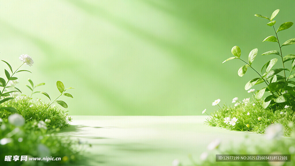 清新绿意植物小径场景