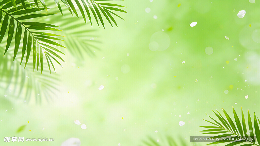 清新绿意棕榈叶背景图