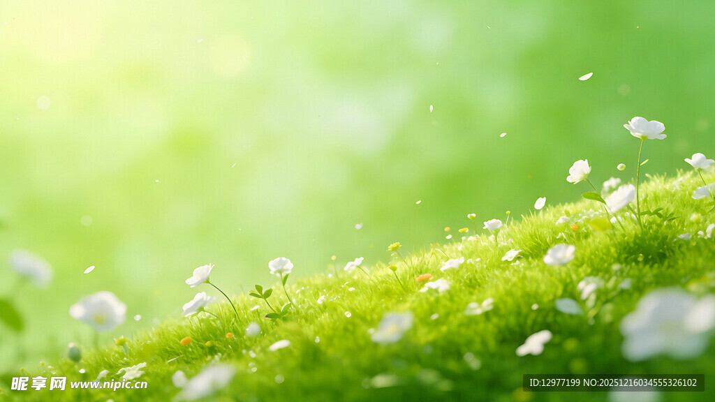 嫩绿草尖上的晶莹露珠