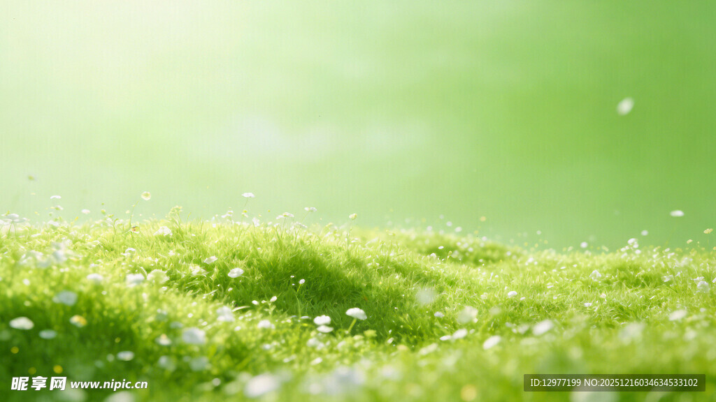 春日嫩绿草地 清新自然景