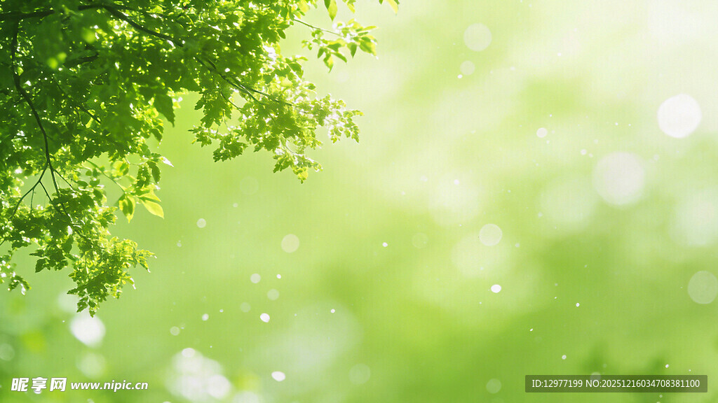 清新绿意盎然的自然景象